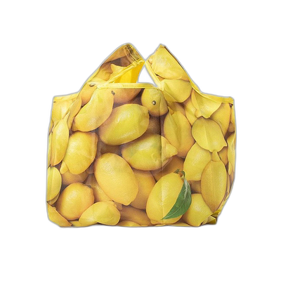 【日本直邮】ROOTOTE 可水洗小号紧凑型环保袋 Rushopper MID-Lif