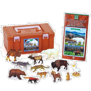 【日本直邮】COLORATA 动物地理3区旧北和新北图盒教育玩具鸟类