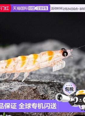 【日本直邮】达亿瓦 牌 Real Krill Worm 强力型 3L 软饵 含变色