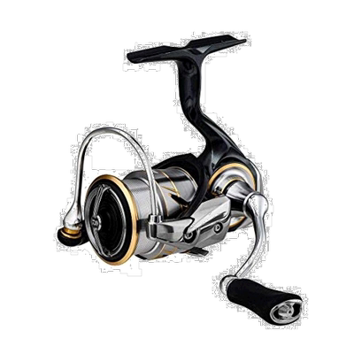 【日本直邮】DAIWA  渔线轮  LUVIAS FC LT2000S 2020年款达亿瓦