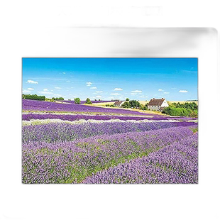 【日本直邮】Appleone薰衣草田的微风 科茨沃尔德500片拼图 38×5