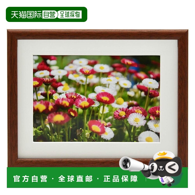 【日本直邮】Fujicolor富士胶片 木制 深棕色 M21 A3 407949