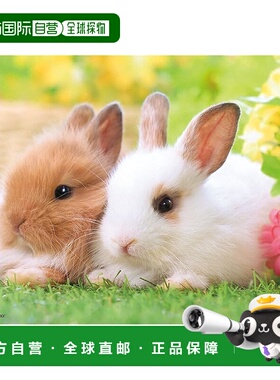 【日本直邮】Beverly 108片拼图“Poka Poka Rabbit”（18.2 x 25
