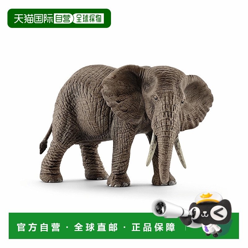 【日本直邮】思乐仿真野生动物模型 非洲象（雌）14761