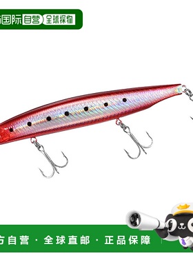 日本直邮Daiwa Shoreline Shiner Z Vertis R R125F-SSR Adele Bu