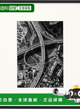 【日本直邮】HAKUBA ZERO相框 GA-01 2L黑色 亚克力板