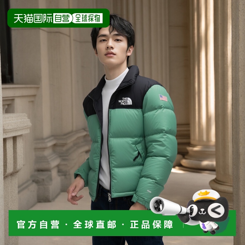 日本直邮 The North Face 1996复古男士羽绒服 防寒新作 NF0A3C8D