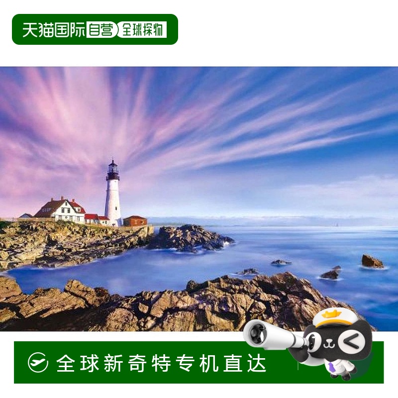 【日本直邮】EPOCH 美国伊丽莎白角 2542片小块拼图50×75cm