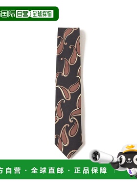 1h可退 日本直邮Holliday & Brown 男士 真丝佩斯利印花领带 2155
