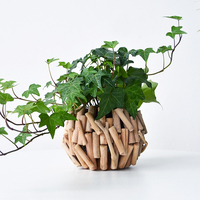 創(chuàng)意客廳綠植小花瓶桌面擺件裝飾