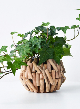 创意花瓶摆件轻奢高级感家居饰品餐桌办公室花艺现代客厅插花装饰