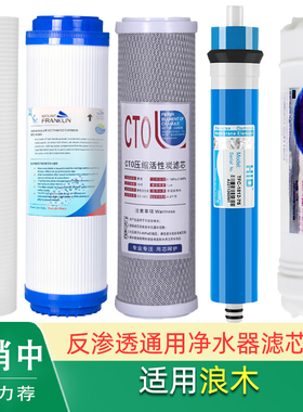 适用浪木RO50 50S 50D1 RO185A E S 50E-7S净水器滤芯barsone朋森