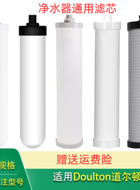 适用Doulton道尔顿M12 M10净水器DIP301滤芯HCPM12 H9-CP