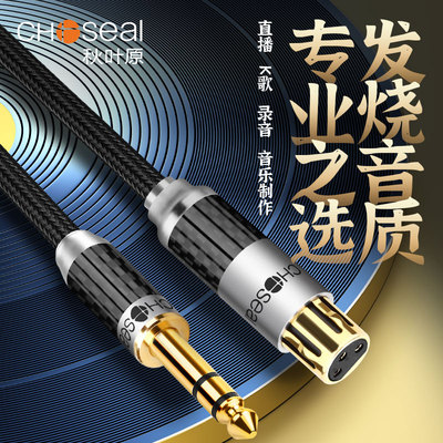 秋叶原大三芯转卡农立体声双声道