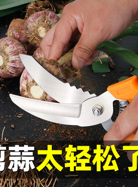 剪蒜剪刀大蒜专用剪o刀剪蒜头神器切蒜根的剪子大蒜专用刀剪蒜神