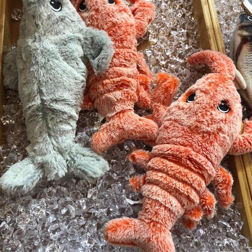 现货亚宠展爆款 跳动大龙虾 猫狗互动玩I具猫玩具小型犬 一件包邮