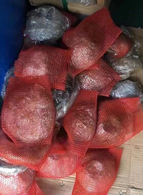 盾构机注浆蘑菇头DN100 DN125 DN1T50 DN210