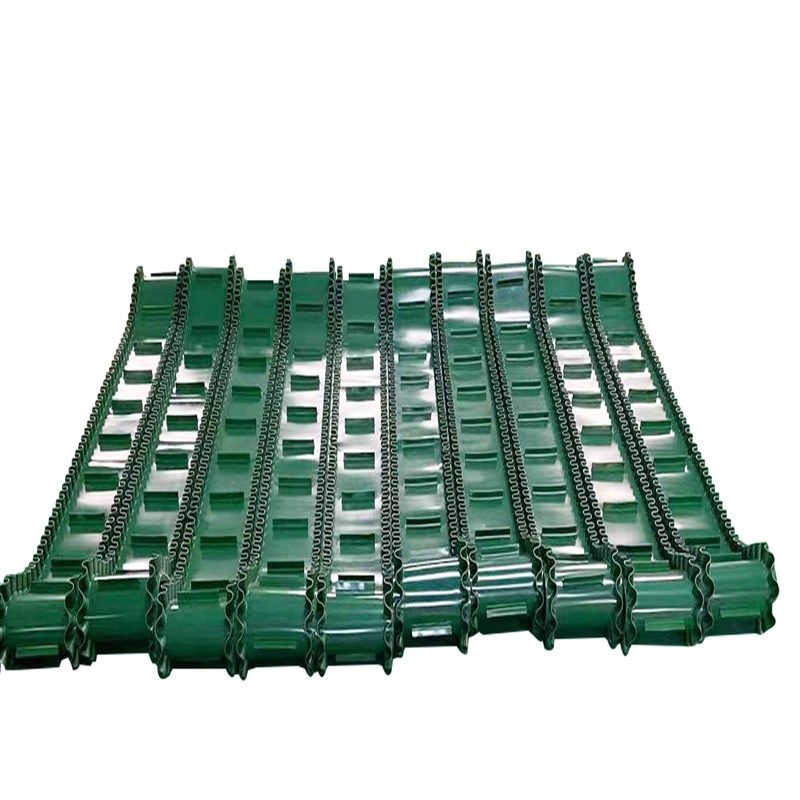 一体硫化 散料包装裙边隔板传送带 绿色花纹爬坡S输送带 工业皮带,标准件/零部件/工业耗材,输送带/传送带,淘宝优惠券,粉丝福利购,淘宝优惠卷