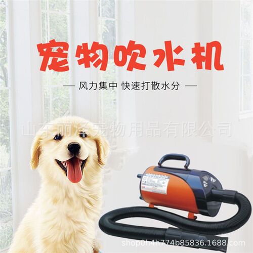 丽泽新款宠物液晶屏吹水G机狗狗猫咪吹风机供货