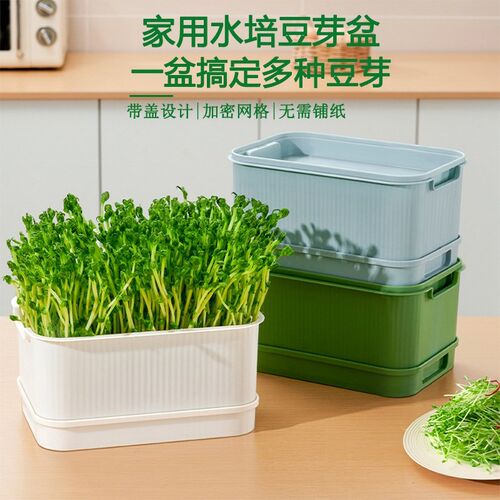 育苗盘豆芽发芽盆家用换r水豆芽发芽机塑料加厚阳台种菜盆育苗盆