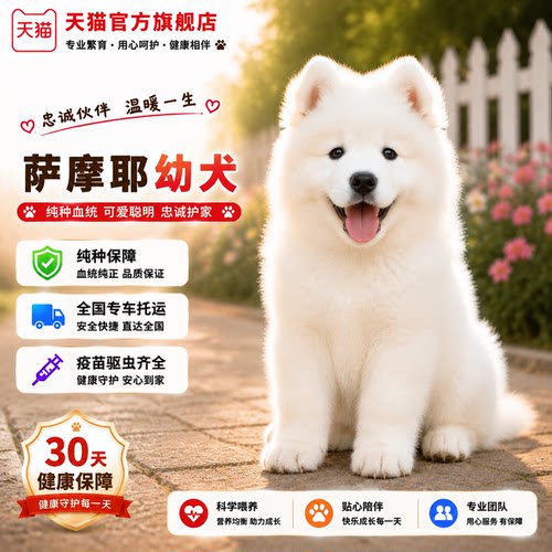 宠物狗大骨架好养微笑天使狗狗