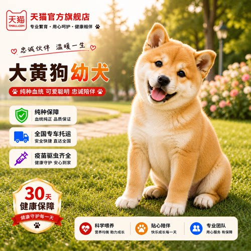 家养农村活体狗狗巡山犬短毛听话