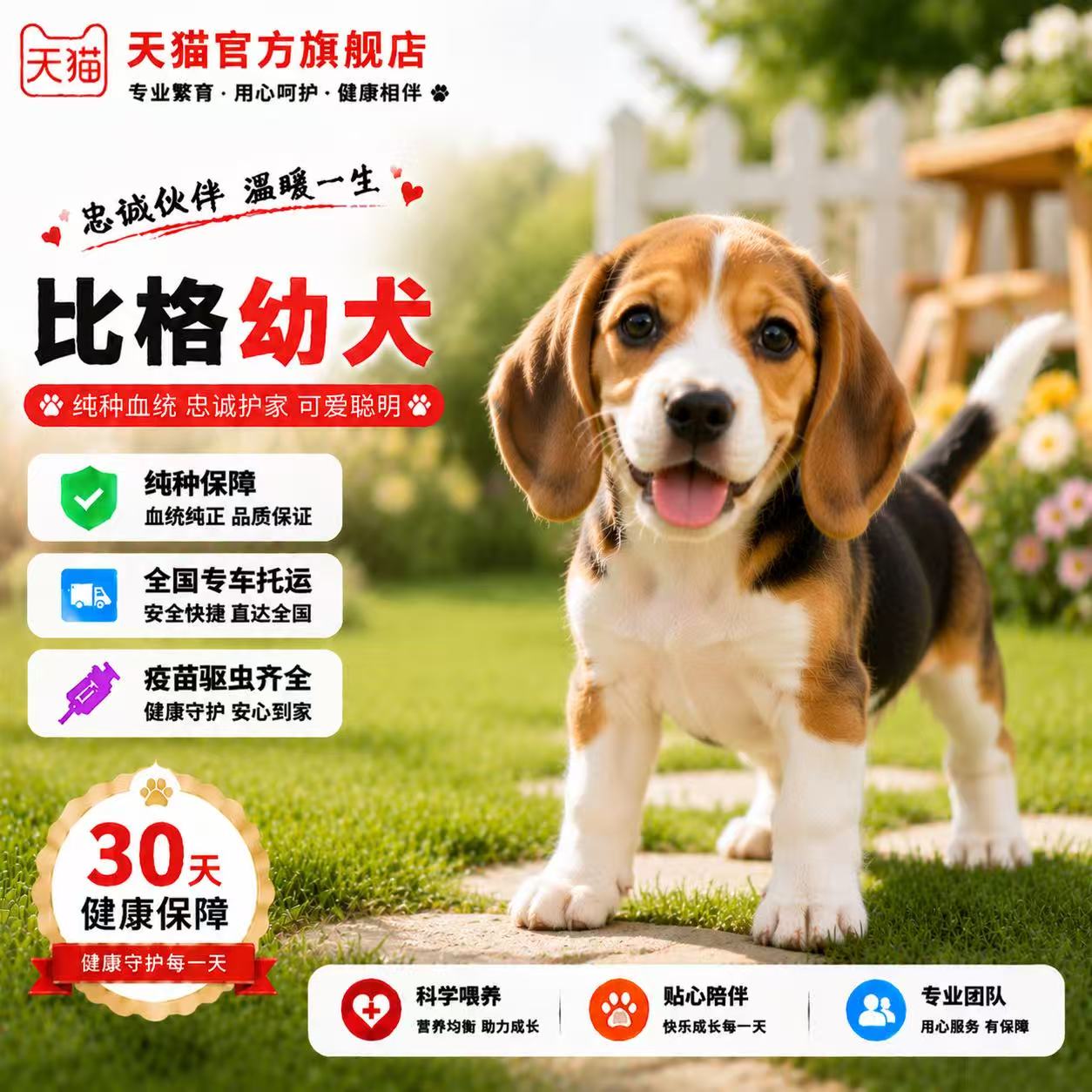 小型崽精品猎狗狗宠物大头狗