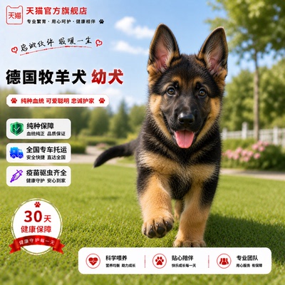 宠物狗聪明幼崽看家狗狗霸气