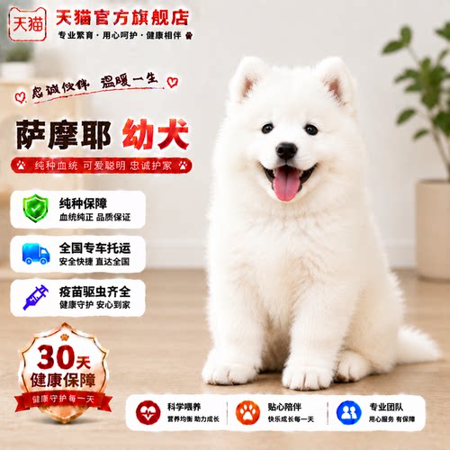 体大骨架网红宠物狗好养陪伴犬狗