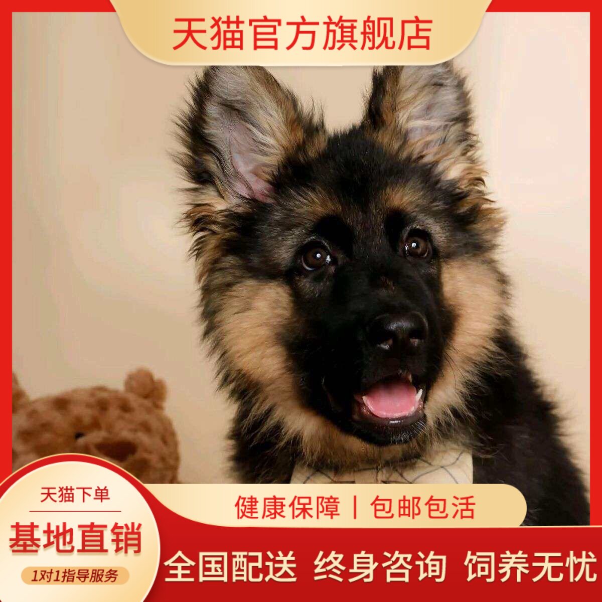 德牧纯种幼犬农村活物大型犬工作犬弓背狗狗狼狗幼宠看家狗活体狗