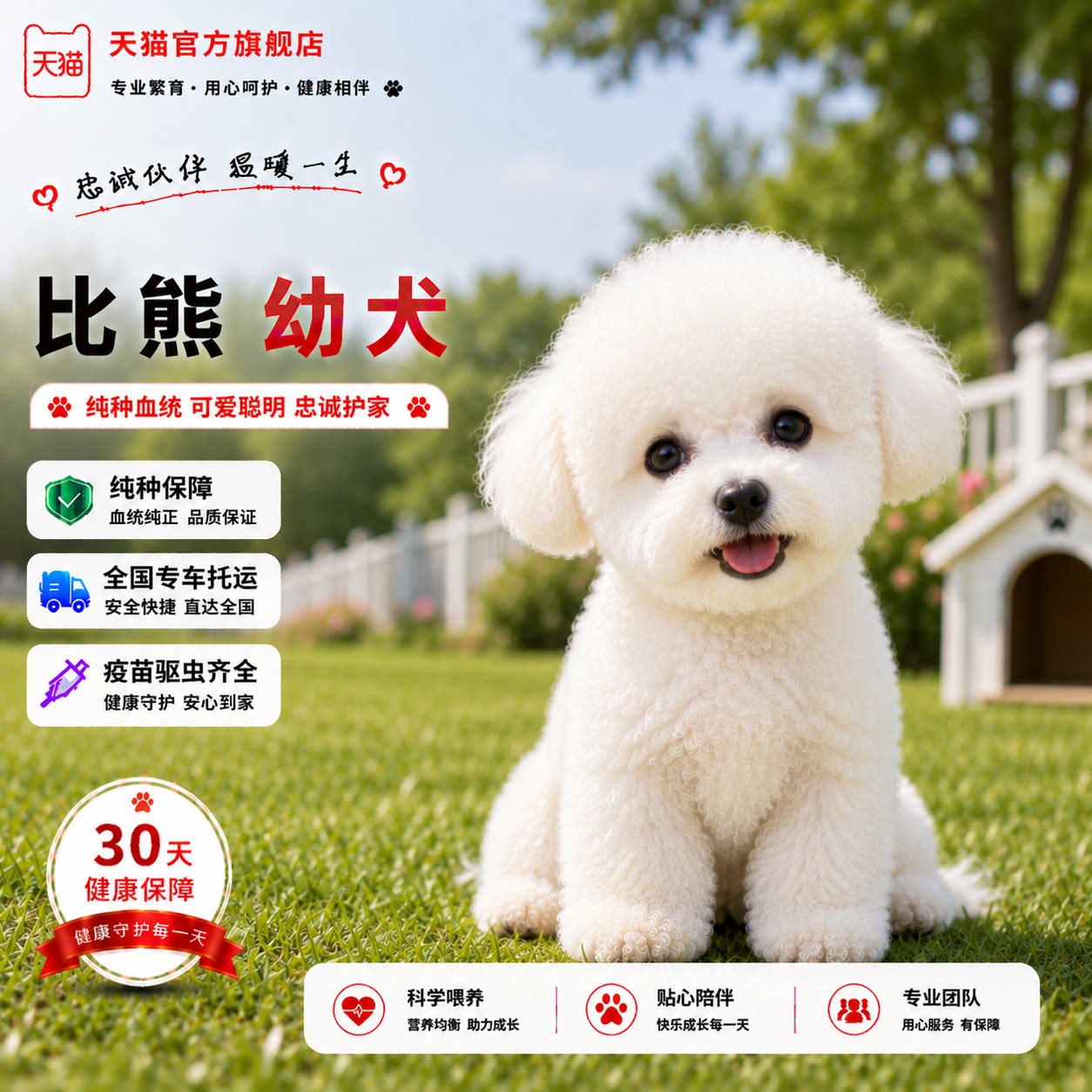 家养迷你便宜超小宠物狗超萌幼崽