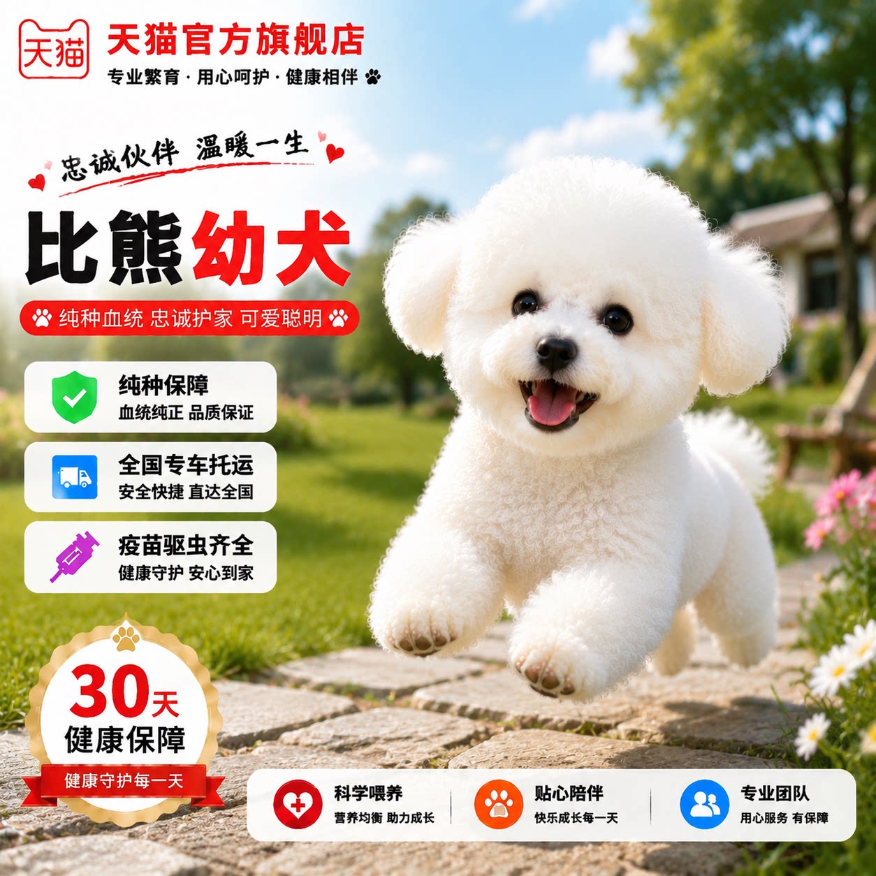 超萌迷你犬犬白色狗超小真狗小体