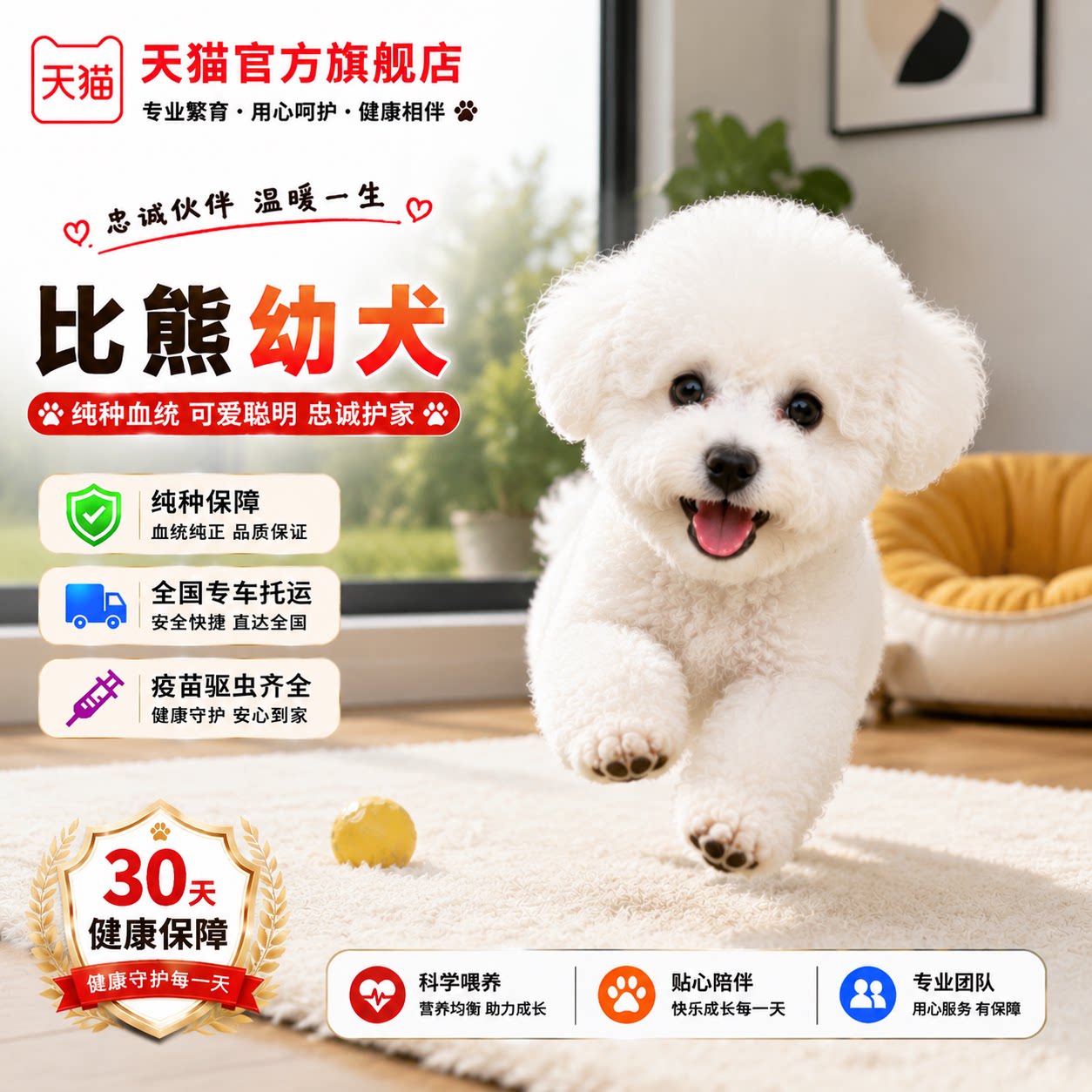 狗迷你白色精品宠物狗便宜小体