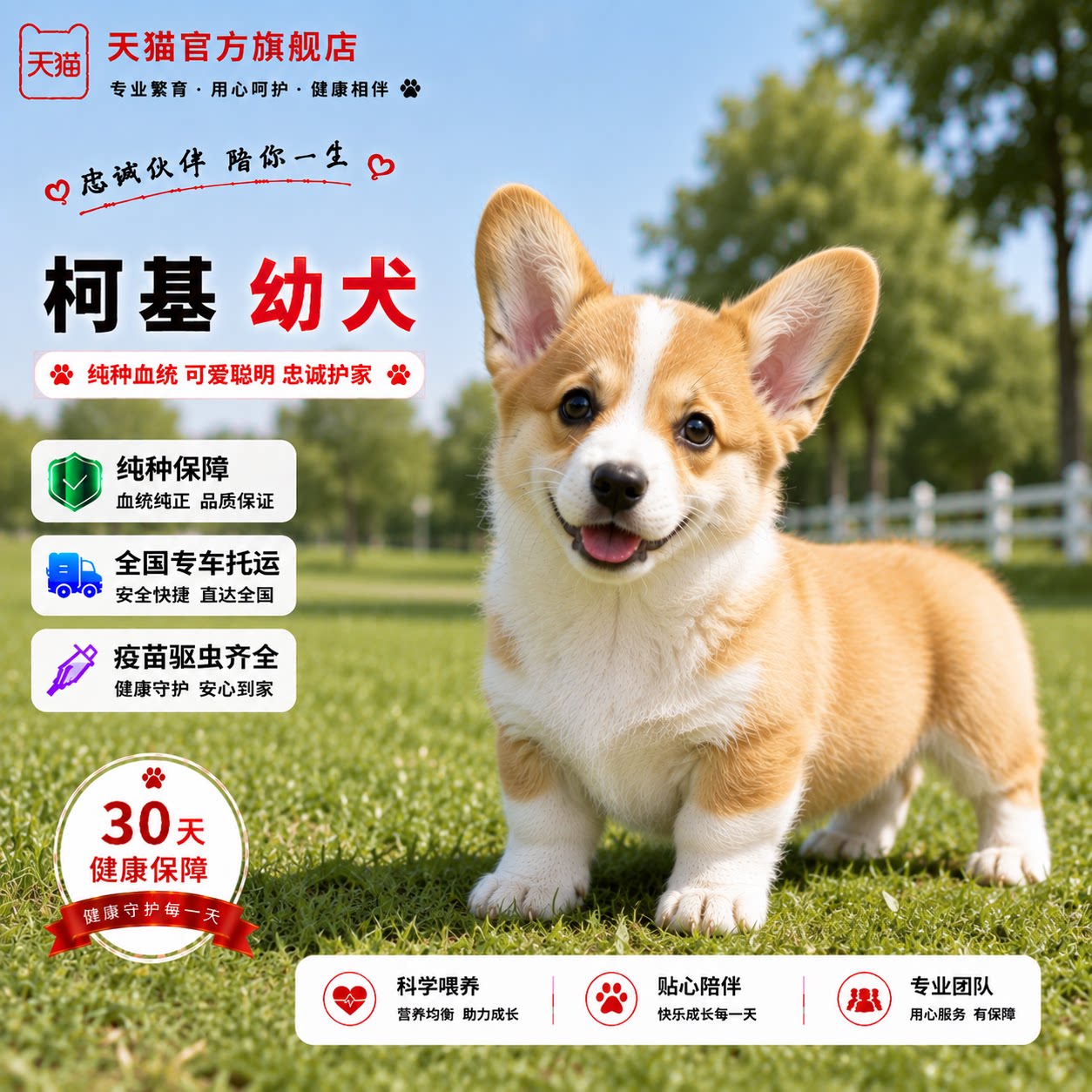 花活体可爱家庭小狗双色活物便宜