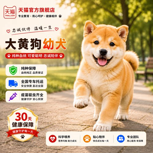 土猎犬家养狩活体看家护院农村