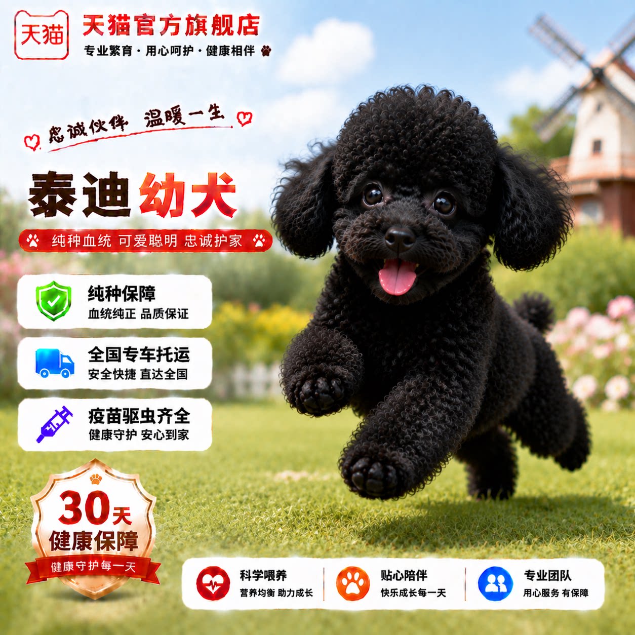 活物小体小型犬可爱聪明长不大狗