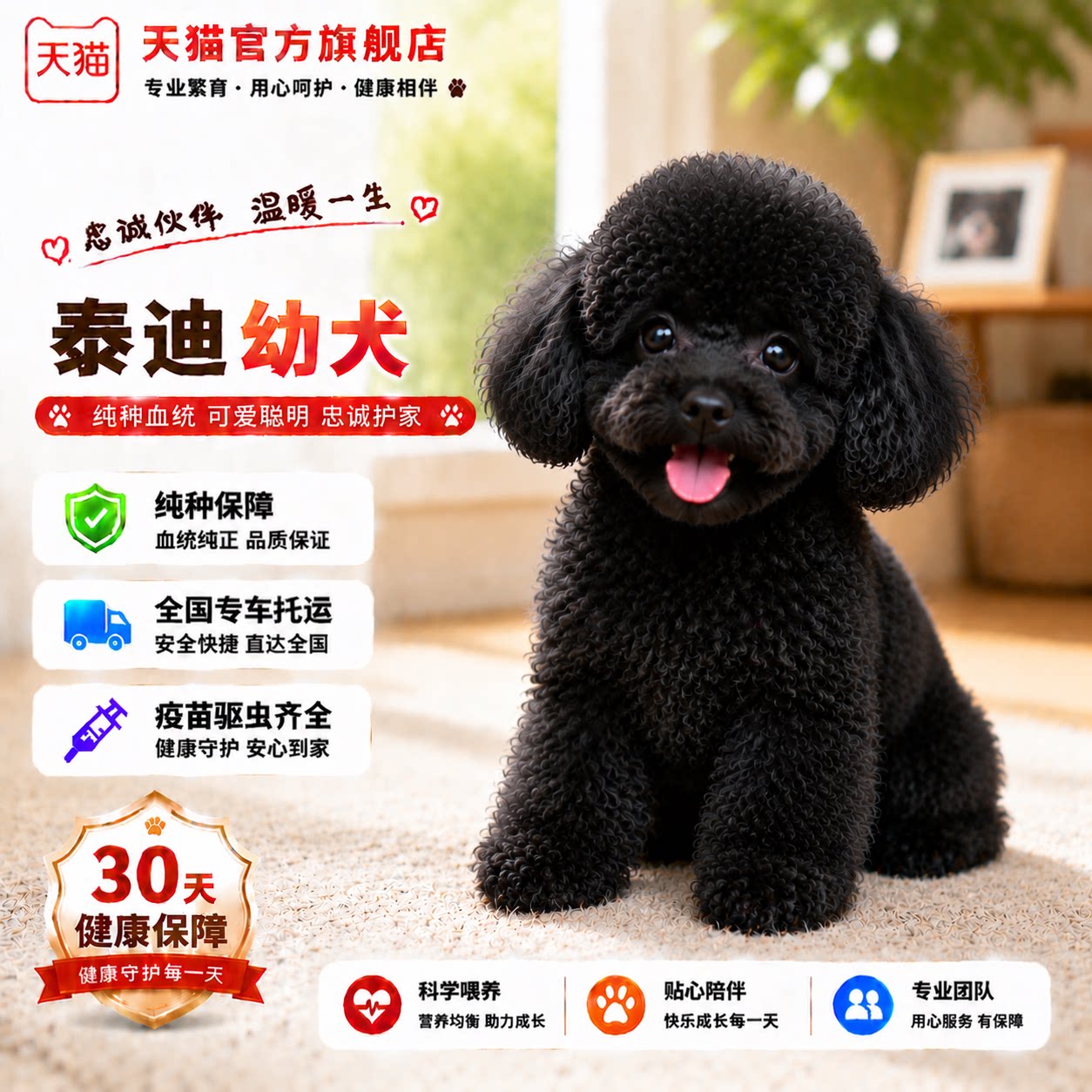 聪明活物宠物狗家庭犬家养便宜