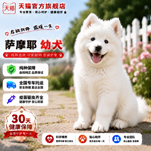 微笑天使幼崽宠物狗粘人活物
