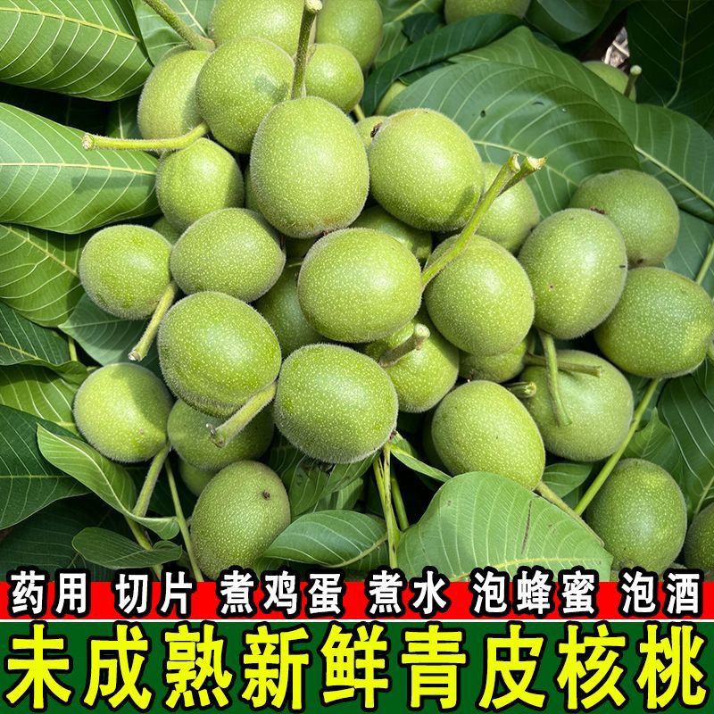 26年新鲜青皮核桃泡酒山核桃煮蛋青衣嫩核桃现摘染发绿皮核桃包邮