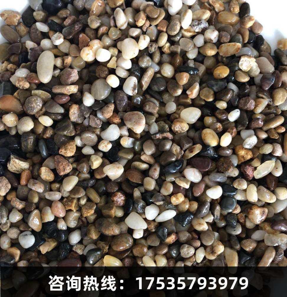 爆天然鹅卵石鱼缸石头沼泽过滤石五彩石头石子雨花石滤料地暖豆品