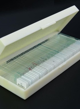 50 PCS Prepared Basic Science Microscope Slides Learning Res