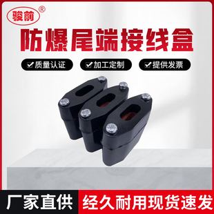 电伴热带尾端接头专用EX防爆终端接线盒电热带尾端接线盒终端封头