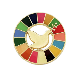 期待和平和平鸽联合国胸针可持续发展目标勋章胸花17色金属徽章