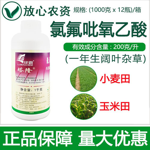 绿霸塔隆氯氟吡氧乙酸除草剂