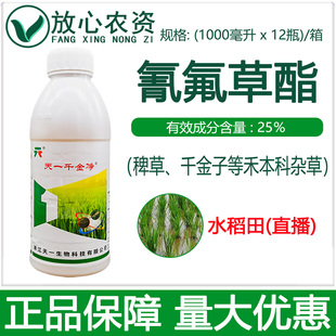 千金子稗草等禾本科杂草水稻专用药除草剂 天一千金净25%氰氟草酯