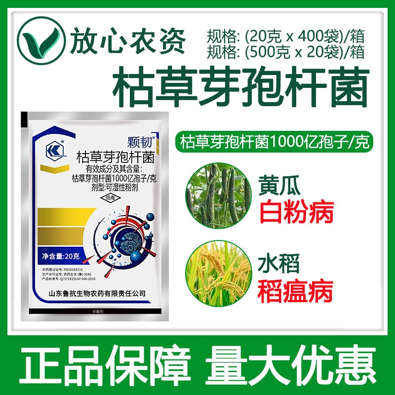 鲁抗颗韧枯草芽孢杆菌农药杀菌剂
