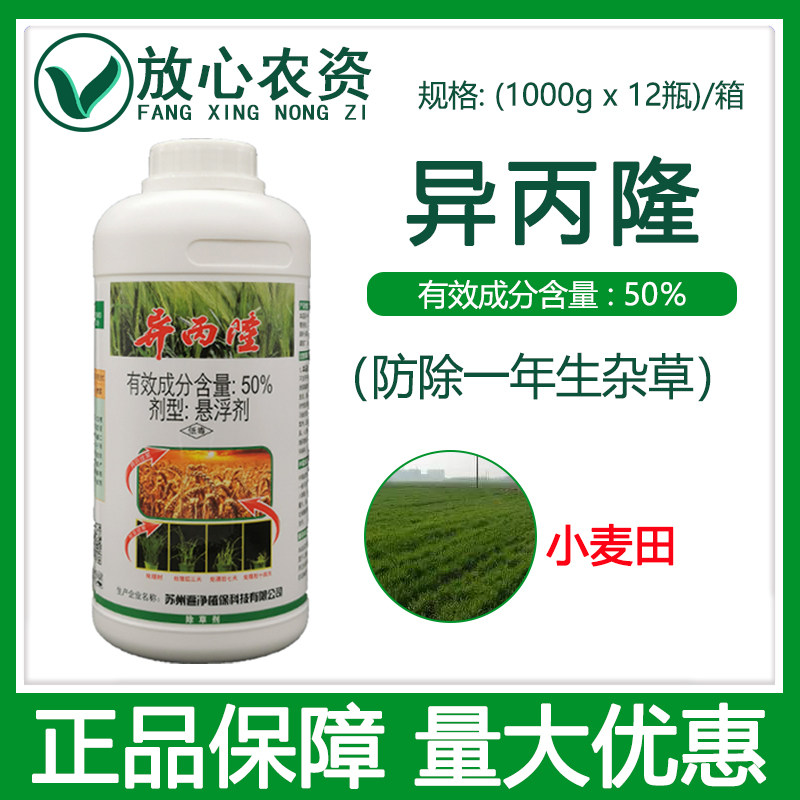 50%异丙隆悬浮剂除草剂杂草 早熟禾 看麦娘 菵草小麦田专用除草剂