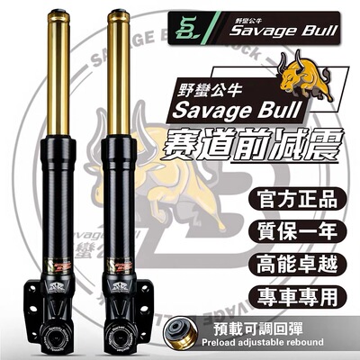 野蛮公牛33芯前减震三阳哈士奇DRG150劲战JET飞度4/5改装前避震
