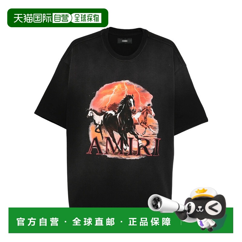 香港直邮Amiri 短袖T恤 AMTOJR1022