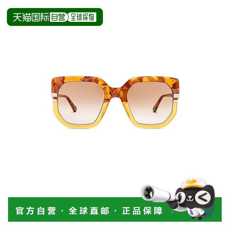 1h可退 香港直邮Chloe 蔻依 女士 徽标太阳镜 CH0240S brown棕色